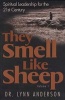 They Smell Like Sheep (Paperback, Original) - Dr Lynn Anderson Photo