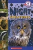 Night Creatures (Paperback) - Wade Cooper Photo