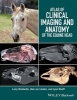 Atlas of Clinical Imaging and Anatomy of the Equine Head (Hardcover) - Larry Kimberlin Photo