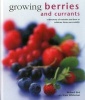 Growing Berries and Currants - A Directory of Varieties and How to Cultivate Them Successfully (Hardcover) - Richard Bird Photo