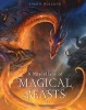 A Miscellany of Magical Beasts (Hardcover) - Simon Holland Photo