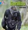 Collins Big Cat Phonics - Gorillas: Band 04/Blue (Paperback) - Teresa Heapy Photo