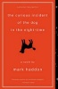 Curious Incident of the Dog in the Night-Time (Hardcover, Turtleback Scho) - Mark Haddon Photo