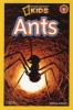 Ants (Paperback) - Melissa Stewart Photo