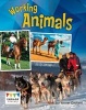 Working Animals (Paperback) - Anne Giulieri Photo