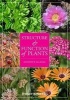 Structure and Function of Plants (Paperback) - Jennifer W MacAdam Photo