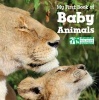 My First Book of Baby Animals (Board book) - National Wildlife Foundation Photo