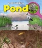 Pond (Hardcover) - Louise Spilsbury Photo