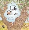 The Life of an Olive (Hardcover) - D Yael Bernhard Photo