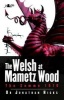 The Welsh at Mametz Wood, 1916 (Paperback) - Jonathan Hicks Photo