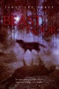 The Beast of Noor (Paperback, Reprint) - Janet Lee Carey Photo