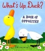 What's Up, Duck? - A Book of Opposites (Board book) - Tad Hills Photo