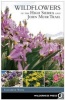 Wildflowers of the High Sierra and John Muir Trail (Paperback) - Elizabeth Wenk Photo