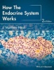 How the Endocrine System Works (Paperback, 2nd Revised edition) - JMatthew Neal Photo