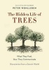 The Hidden Life of Trees - What They Feel, How They Communicate-Discoveries from a Secret World (Hardcover) - Peter Wohlleben Photo