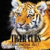 Tiger Cubs Calendar 2017 - 16 Month Calendar (Paperback) - David Mann Photo