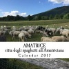 Amatrice; Citta Degli Spaghetti All'amatriciana - Calendar 2017 (Paperback) - Michelle Ann Kratts Photo