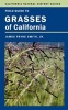 Field Guide to Grasses of California (Paperback) - James P Smith Photo