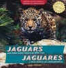 Jaguars and Other Latin American Wild Cats/Jaguares y Otros Felinos de Latinoamerica (English, Spanish, Paperback) - Zella Williams Photo