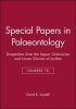 Special Papers in Palaeontology - Graptolites from the Upper Ordovician and Lower Silurian of Jordan (Paperback, Number 78) - David K Loydell Photo