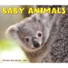 Baby Animals (Calendar) - Willow Creek Press Photo