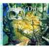 Baby Owl (Paperback, New edition) - Aubrey Lang Photo