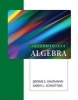 Intermediate Algebra (Paperback, New) - Karen Schwitters Photo