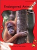 Endangered Animals (Paperback) - Pam Holden Photo