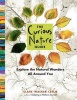 The Curious Nature Guide (Paperback) - Clare Walker Leslie Photo