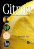 Citrus Genetics, Breeding and Biotechnology (Hardcover) - I A Khan Photo