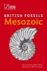 British Mesozoic Fossils (Paperback, Fully revised and updated ed) - Natural History Museum Photo