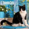 Tuxedo Cats 2017 Square (Calendar) - Inc Browntrout Publishers Photo