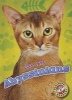 Abyssinians (Hardcover) - Rebecca Felix Photo