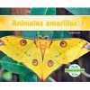 Animales Amarillos (Yellow Animals) (English, Spanish, Hardcover) - Teddy Borth Photo