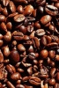 Freshly Roasted Coffee Beans - Blank 150 Page Lined Journal for Your Thoughts, Ideas, and Inspiration (Paperback) - Unique Journal Photo