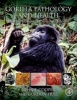 Gorilla Pathology and Health - With a Catalogue of Preserved Materials (Hardcover) - John Cooper Photo