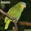 Amazons Calendar 2017 (Calendar) - Avonside Publishing Ltd Photo