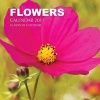 Flowers Calendar 2017 - 16 Month Calendar (Paperback) - David Mann Photo