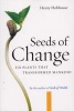 Seeds of Change - Six Plants That Transformed Mankind (Paperback, 1st Shoemaker & Hoard ed) - Henry Hobhouse Photo