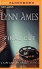 Final Cut (MP3 format, CD) - Lynn Ames Photo