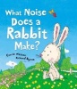 What Noise Does a Rabbit Make? (Paperback) - Carrie Weston Photo