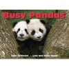 Busy Pandas (Board book) - John Schindel Photo