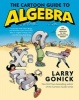 The Cartoon Guide to Algebra (Paperback) - Larry Gonick Photo