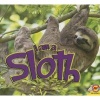 I Am a Sloth (Paperback) - Alexis Roumanis Photo