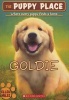 Goldie (Paperback) - Ellen Miles Photo