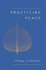 Practicing Peace (Paperback) - Pema Chodron Photo