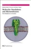 Molecular Simulations and Biomembranes - From Biophysics to Function (Hardcover, Edition.) - Mark SP Sansom Photo