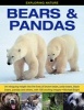 Exploring Nature: Bears & Pandas - An Intriguing Insight into the Lives of Brown Bears, Polar Bears, Black Bears, Pandas and Others, with 190 Exciting Images (Hardcover) - Michael Bright Photo