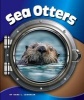 Sea Otters (Hardcover) - Kara L Laughlin Photo