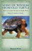 Song of Wisdom from Old Turtle - Based on the Book "Old Turtle" by  (Paperback) - Douglas Wood Photo